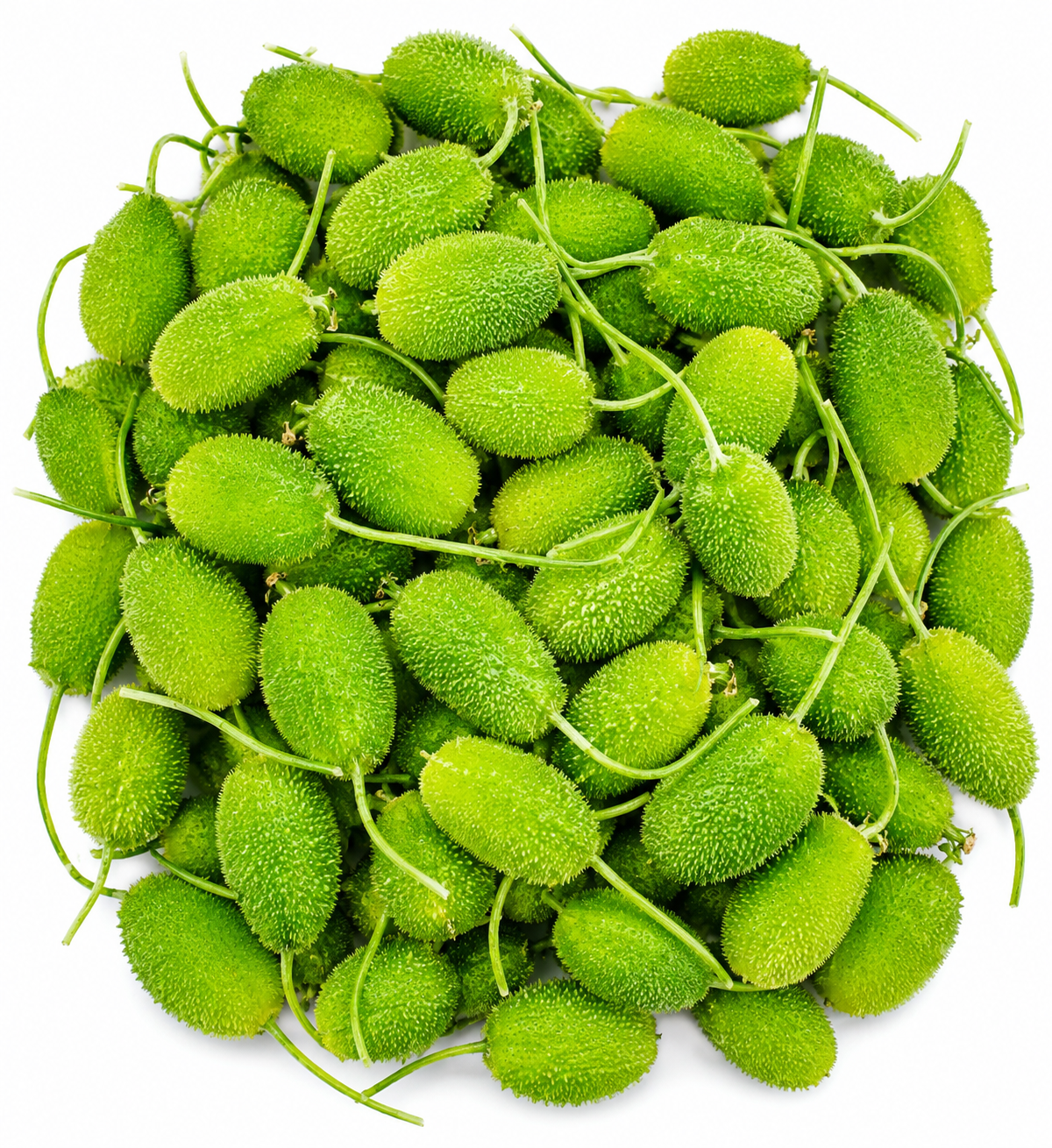 Kakrol